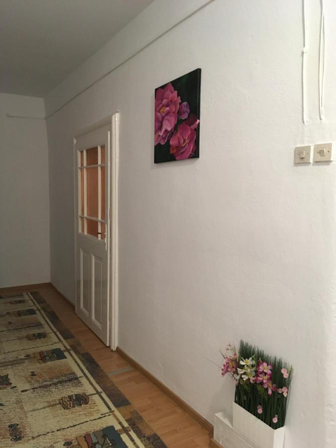 House Centrul Istoric Ll Apartment ซีบิว ภายนอก รูปภาพ